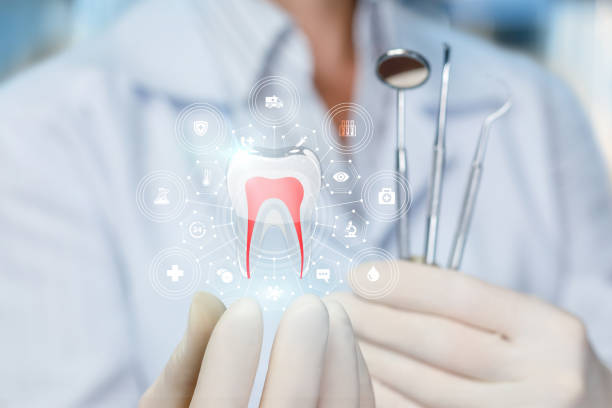 Trusted Walnut Park, CA  Holistic Dental Services Experts